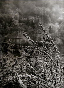 View of Spring from our Street Black and White | Josef Sudek,{{product.type}}