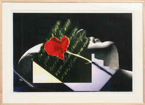 Visual Chemistry - Sleeping Rose Digital | John Waters,{{product.type}}