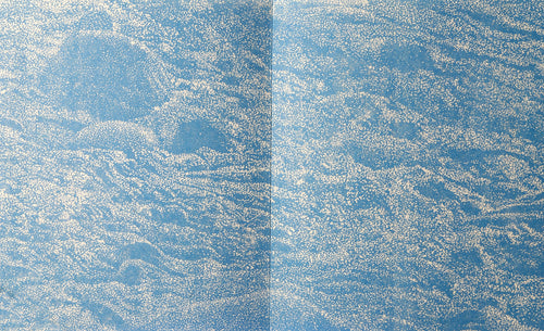 Vorzugsausgabe: Special Edition, Parkett No. 28 Woodcut | Franz Gertsch,{{product.type}}