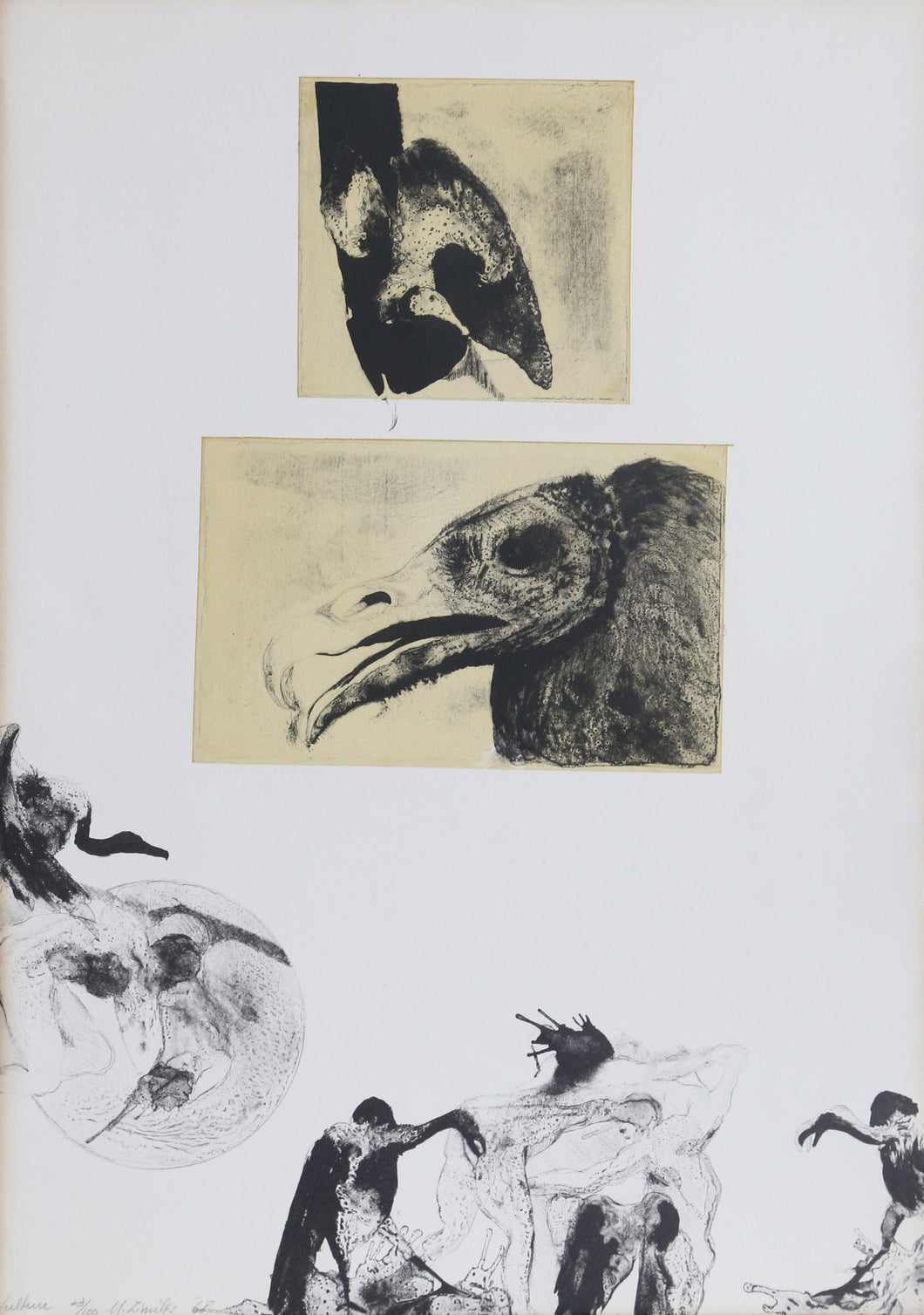 Vulture from 10/10 Printmakers Portfolio Lithograph | Murray Zimiles,{{product.type}}