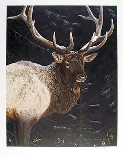 Wapiti Portrait Lithograph | Ron S. Parker,{{product.type}}
