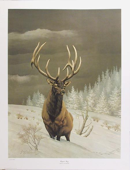 Wapiti Stag Lithograph | Guy Coheleach,{{product.type}}