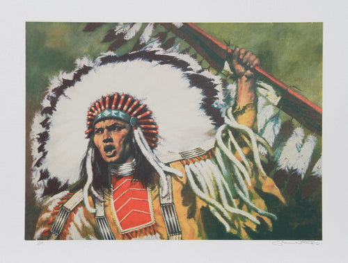 War Flag Lithograph | Shannon Stirnweis,{{product.type}}
