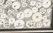 Watch Gears Ink | Arman,{{product.type}}