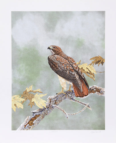 Watcher Lithograph | Chris Forrest,{{product.type}}