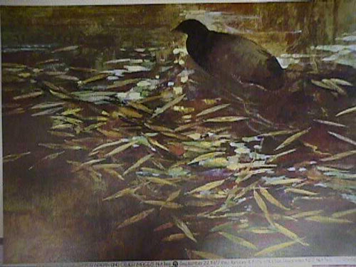 Water Spirits and Other Images Poster | Gordon Brusstar,{{product.type}}