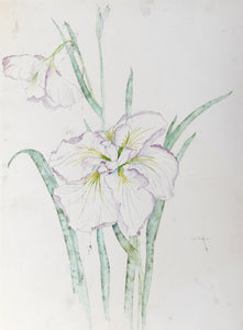 White and Purple Lilies Watercolor | Carl Bergman,{{product.type}}
