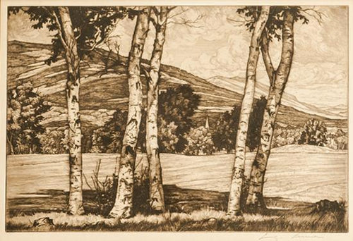 White and Shadows Etching | Luigi Lucioni,{{product.type}}