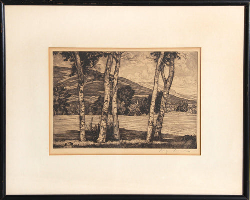 White and Shadows Etching | Luigi Lucioni,{{product.type}}