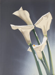 White Calla Lilies 3 Lithograph | Jochen Labriola,{{product.type}}