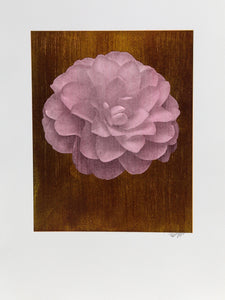 White Dahlia (Pink) on Gold Color | Jonathan Singer,{{product.type}}