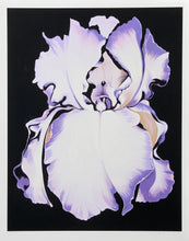 White Iris on Black Screenprint | Lowell Blair Nesbitt,{{product.type}}