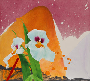 White Irises Acrylic | Michael Knigin,{{product.type}}