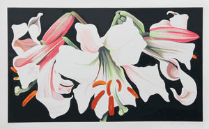 White Lily on Black Screenprint | Lowell Blair Nesbitt,{{product.type}}