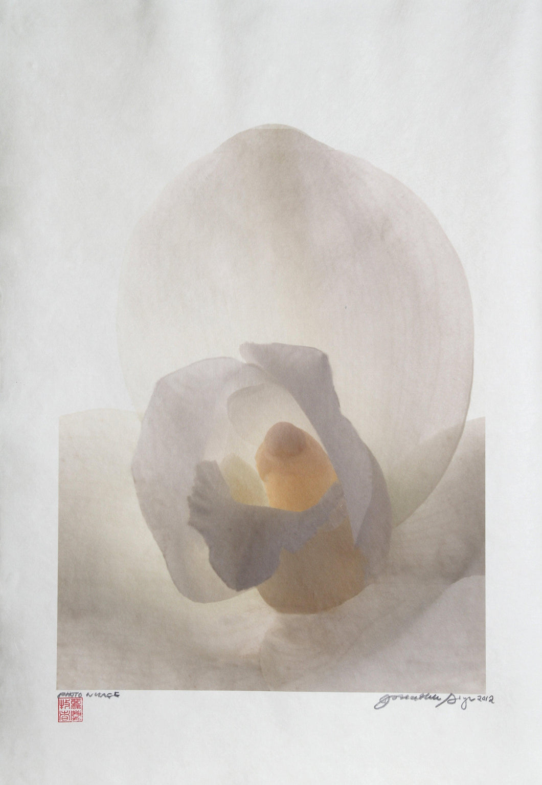 White Orchid Color | Jonathan Singer,{{product.type}}