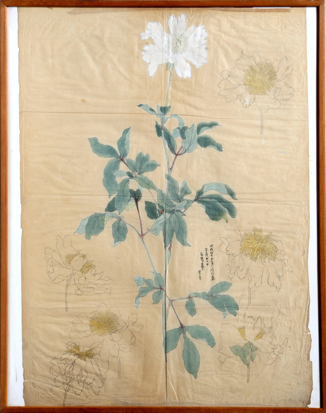 White Peony Lithograph | Unknown, Chinese,{{product.type}}