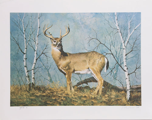 White Tail Deer Lithograph | Peter Darro,{{product.type}}