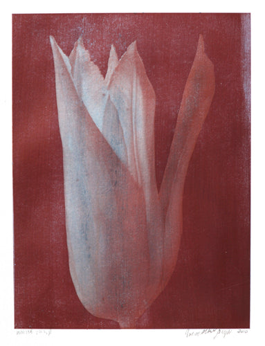 White Tulip #2 Color | Jonathan Singer,{{product.type}}