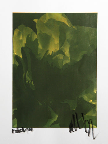 White Tulip Process Works I Color | Jonathan Singer,{{product.type}}