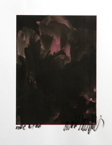 White Tulip Process Works III Color | Jonathan Singer,{{product.type}}