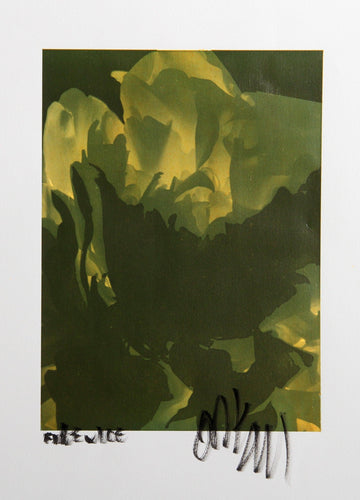 White Tulip Process Works IX Color | Jonathan Singer,{{product.type}}