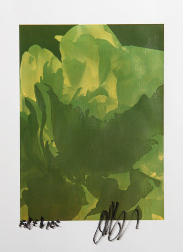 White Tulip Process Works V Color | Jonathan Singer,{{product.type}}