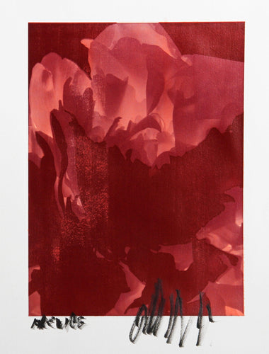 White Tulip Process Works VI Color | Jonathan Singer,{{product.type}}