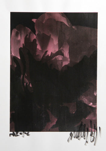 White Tulip Process Works X Color | Jonathan Singer,{{product.type}}