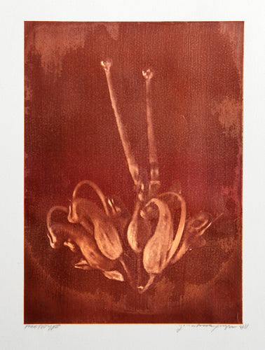 White Tulip Process Works XI Color | Jonathan Singer,{{product.type}}