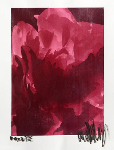 White Tulip Process Works XII Color | Jonathan Singer,{{product.type}}