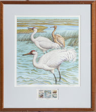Whooping Cranes Lithograph | Michael Warren,{{product.type}}