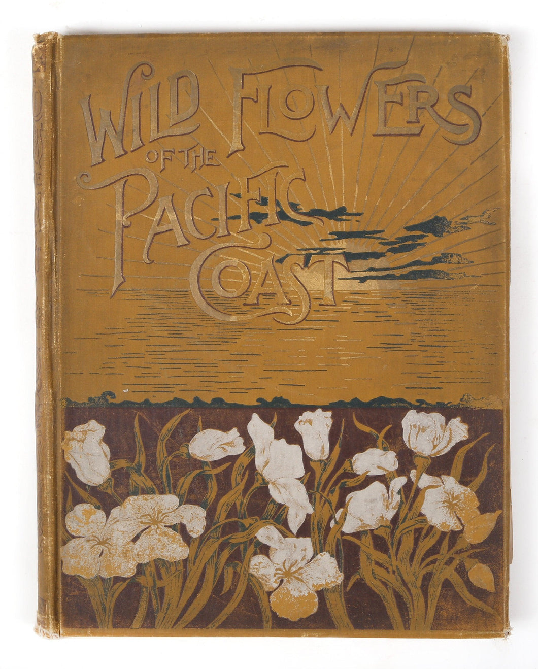 Wild Flowers of the Pacific Coast Book | Emma Homa Thayer,{{product.type}}