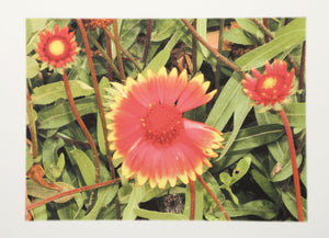 Wildflower Digital | Michael Knigin,{{product.type}}