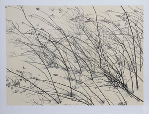 Windswept Lithograph | Jon D'Orazio,{{product.type}}