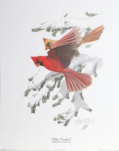 Winter Cardinals Lithograph | Guy Coheleach,{{product.type}}