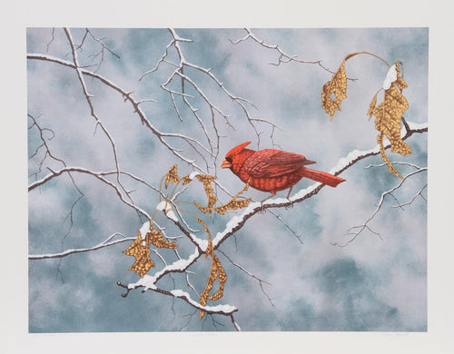 Winter Oak Lithograph | Chris Forrest,{{product.type}}