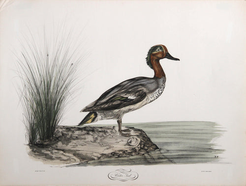 Winter Teal Poster | Jerome Trolliet,{{product.type}}