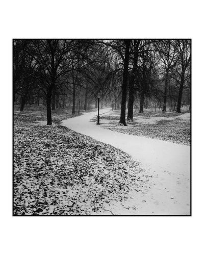 Winter Trail Black and White | Robert Gambee,{{product.type}}