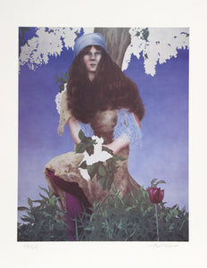 Wisteria Lithograph | Robert Anderson,{{product.type}}