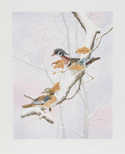 Wood Ducks Lithograph | Chris Forrest,{{product.type}}