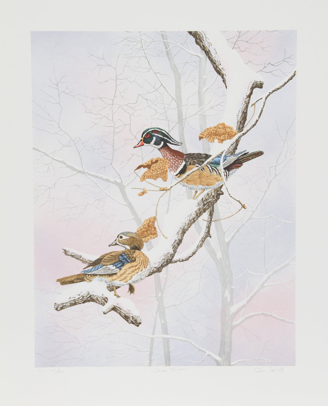 Wood Ducks Lithograph | Chris Forrest,{{product.type}}