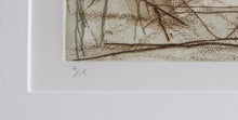 Woods Etching | Louisa Chase,{{product.type}}