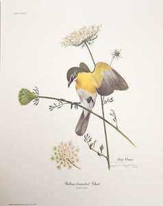 Yellow-breasted Chat Lithograph | Ray Harm,{{product.type}}