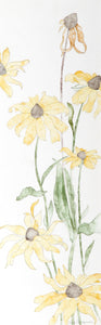 Yellow Daisies Watercolor | Carl Bergman,{{product.type}}