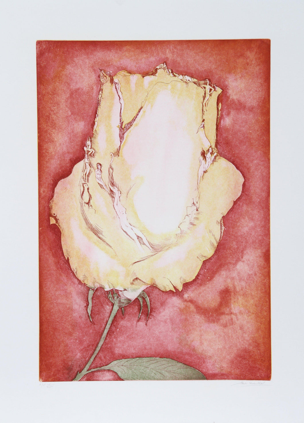 Yellow Rose Etching | Hank Laventhol,{{product.type}}
