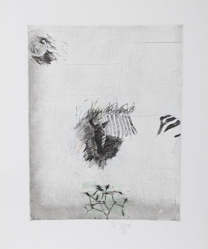 Zebra Etching | Donald Saff,{{product.type}}