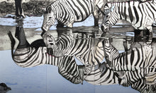 Zebras 2 Lithograph | Fran Bull,{{product.type}}