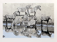 Zebras 2 Lithograph | Fran Bull,{{product.type}}